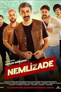 Немлизаде